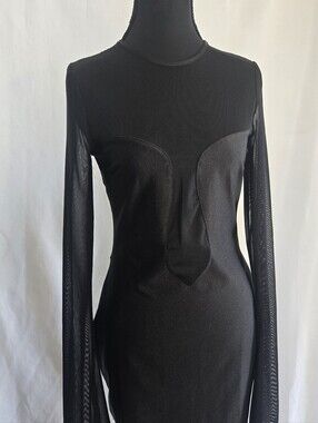 Saanvi Mesh Mini Dress